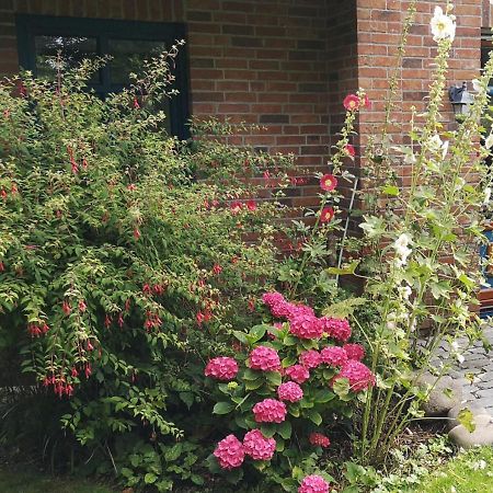 Ferienhaus Arkona Putgarten 外观 照片